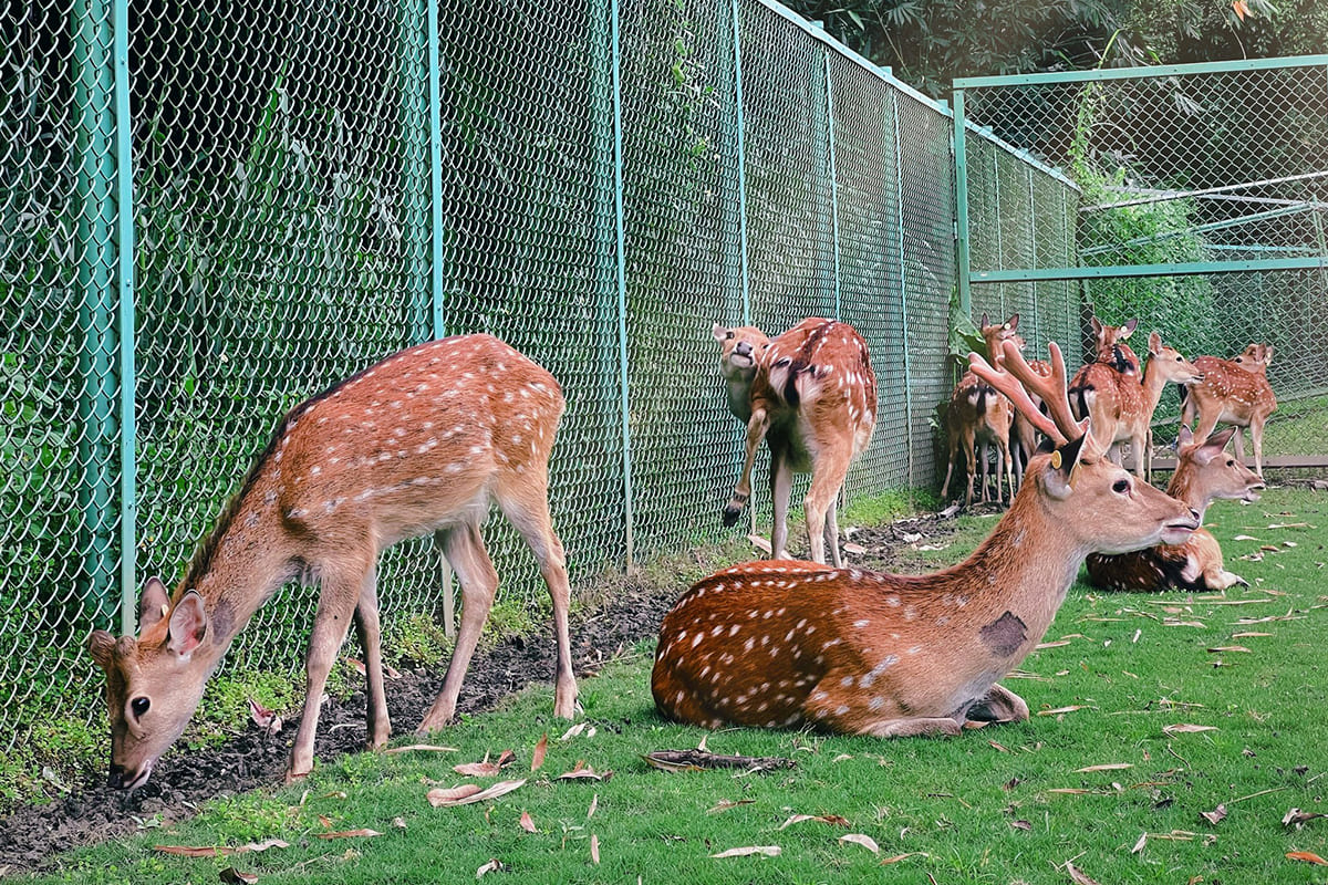 原民生態之旅　路線：台18線