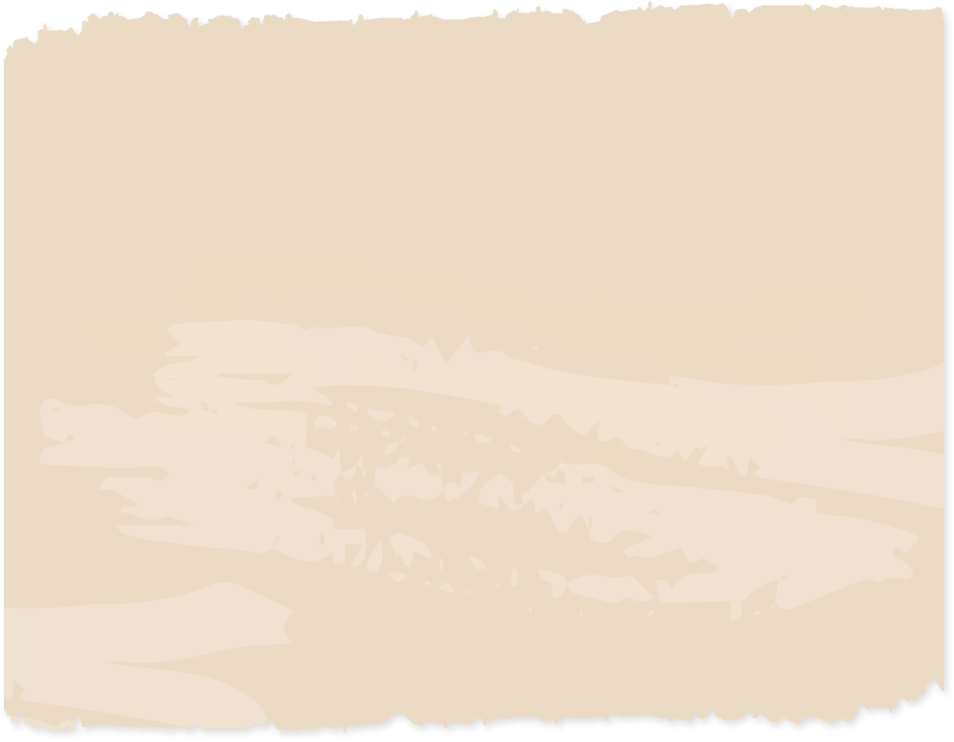 background paper
