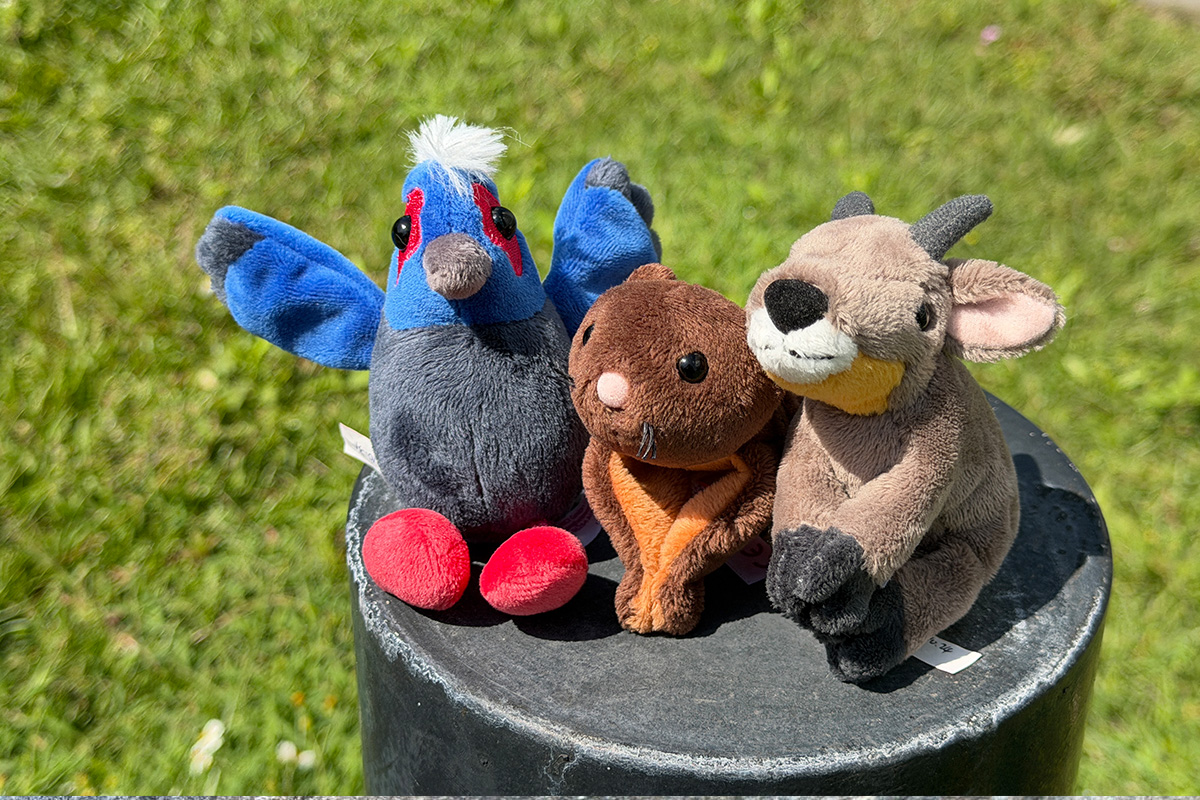 必收藏！磁鐵布偶系列