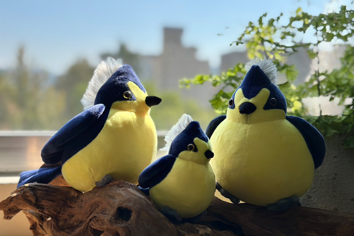 山林製造｜黃山雀布偶親子組