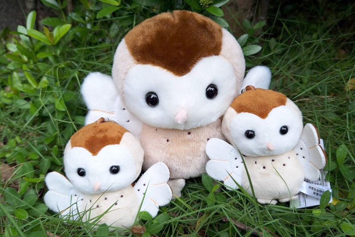 山林製造｜草鴞親子組