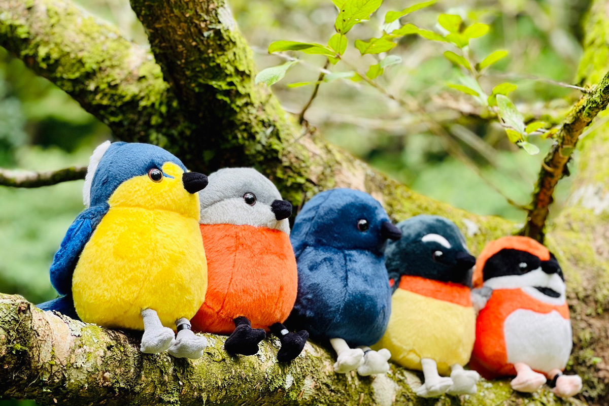 山林製造｜森林羽精靈組(5入)