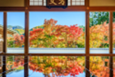 群馬賞楓一日遊,寶德寺,高津戶峽,伊香保溫泉,伊香保溫泉推薦,前橋景點,前橋市景點