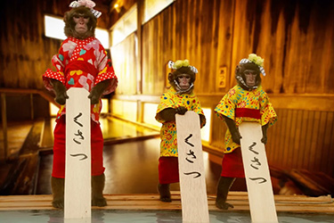 群馬sayu Yumomi演出門票,草津溫泉,草津溫泉景點,草津溫泉一日遊,萬座溫泉