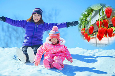川場田園廣場,薰衣草花園,玉原滑雪場,群馬縣景點,群馬溫泉