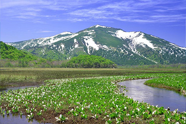 尾瀨之原,尾瀨國立公園,群馬縣景點,群馬溫泉,玉原滑雪場
