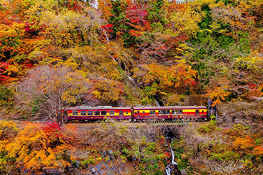 群馬賞楓,草津溫泉一日遊,草津溫泉,草津溫泉景點,高崎景點